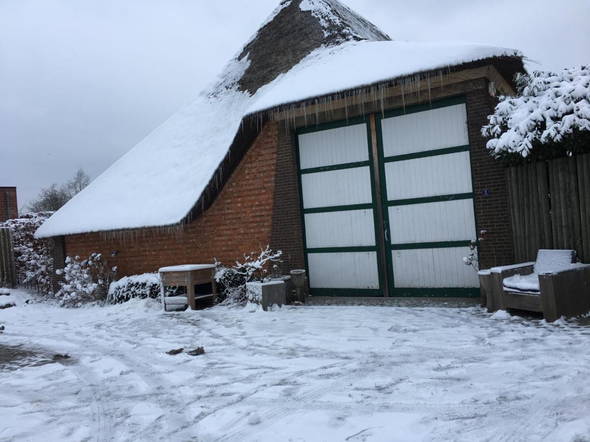 B&B Sint-Mariaburg Antwerpen Bagian luar foto