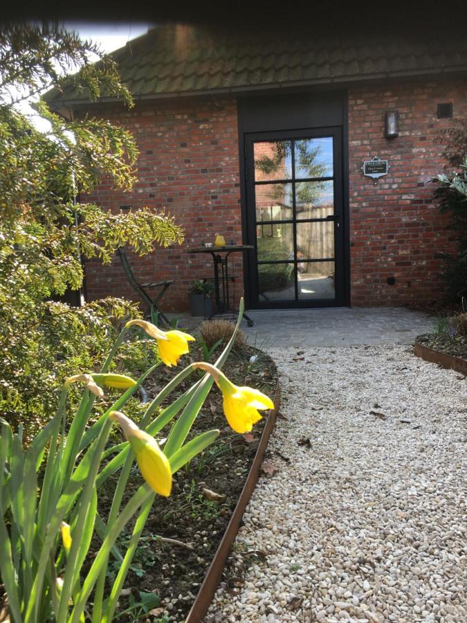 B&B Sint-Mariaburg Antwerpen Bagian luar foto