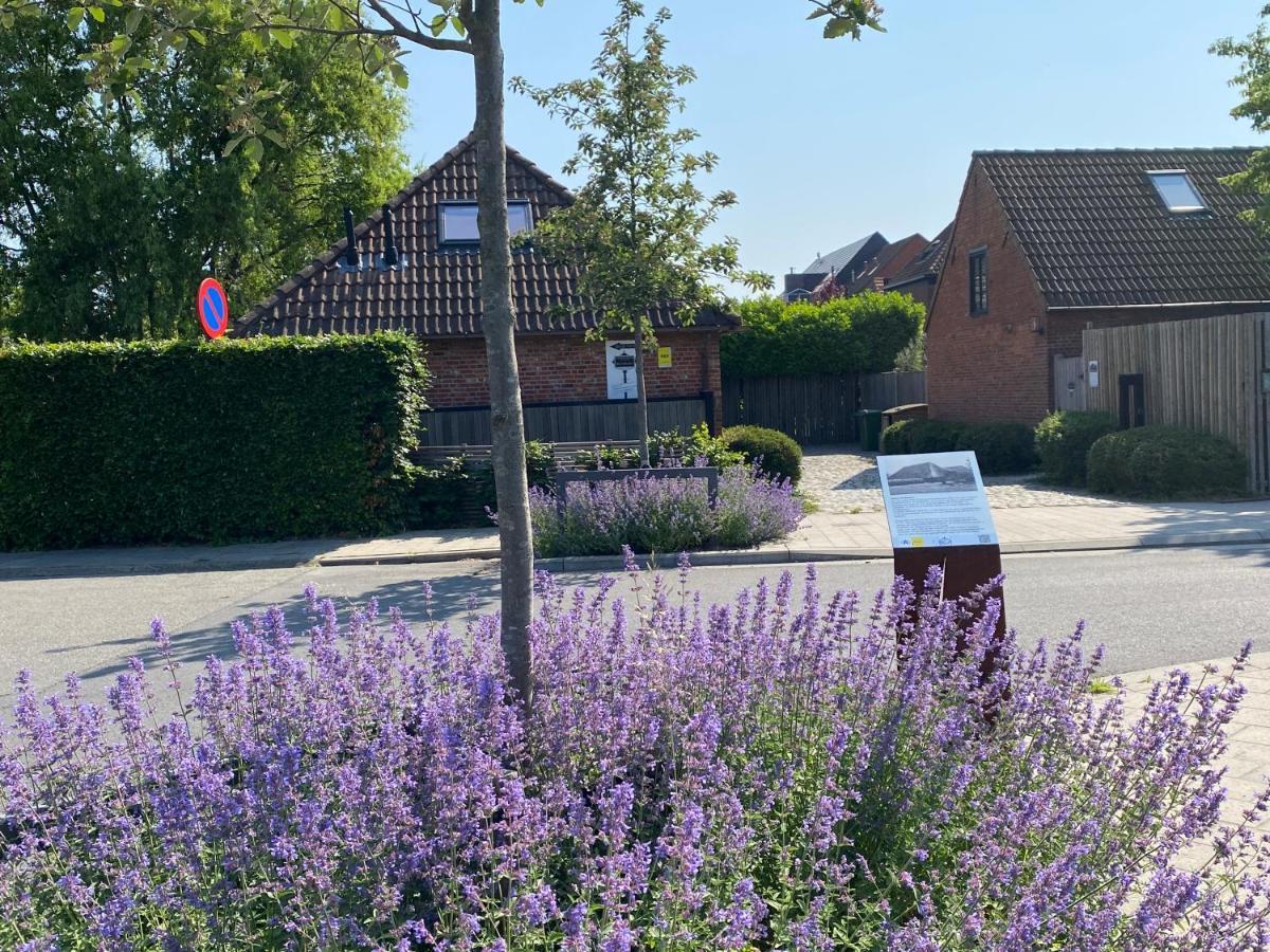 B&B Sint-Mariaburg Antwerpen Bagian luar foto